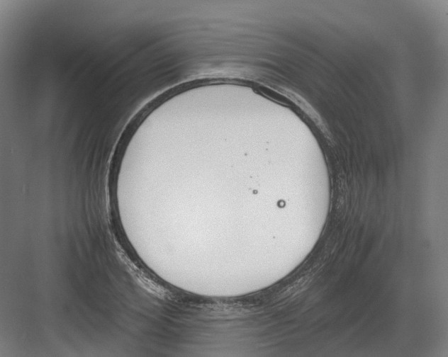 X0000082150980200702162204