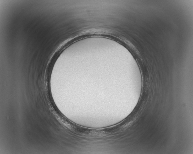 X0000082150981200702162204