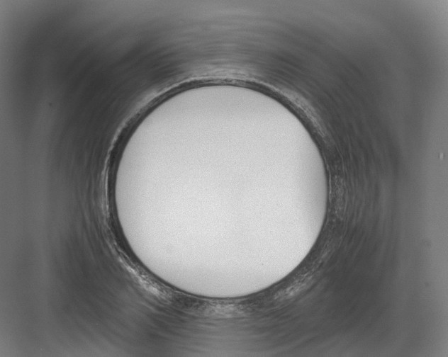 X0000082150982200702162204