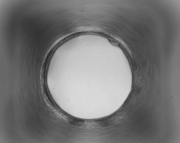 X0000082150983200702162204