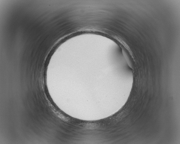 X0000082150984200702162204