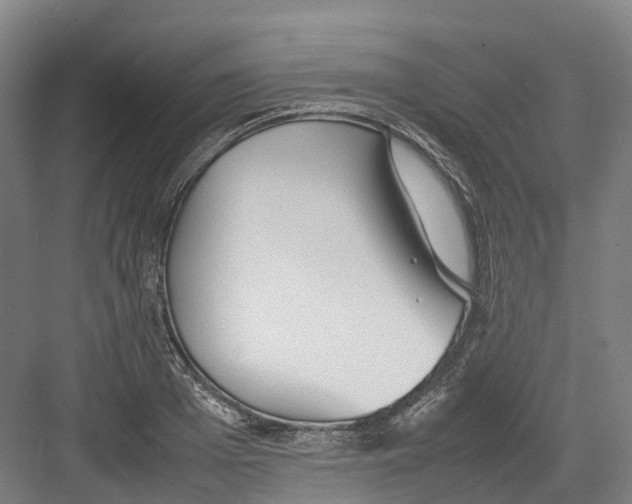 X0000082150985200702162204