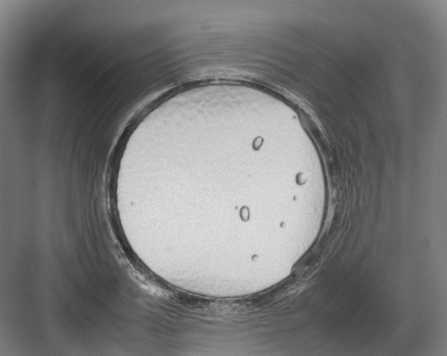 X0000082150987200702162204