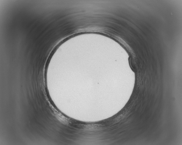 X0000082150988200702162204