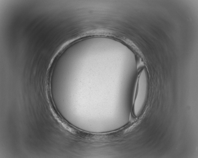 X0000082150989200702162204