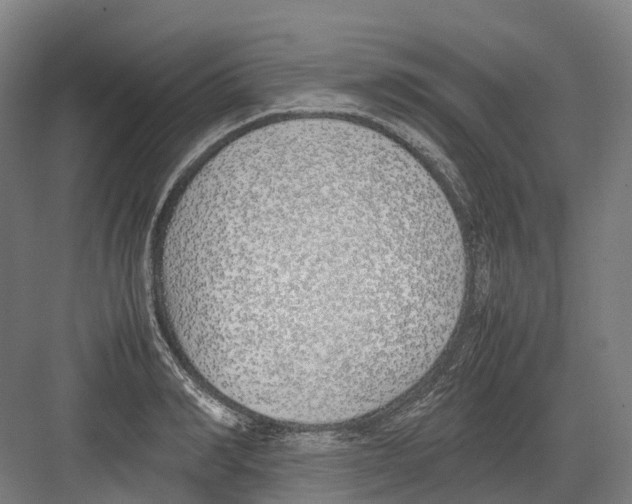 X0000082150990200702162204