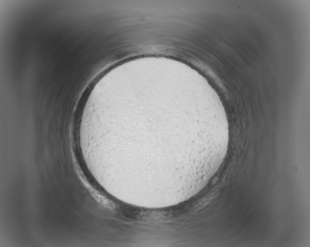 X0000082150991200702162204