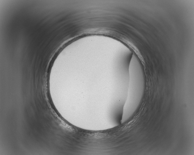 X0000082150992200702162204