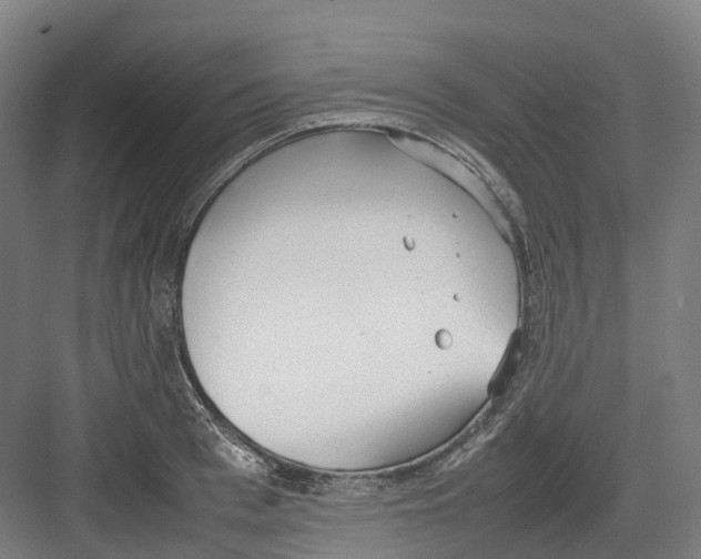 X0000082150993200702162204