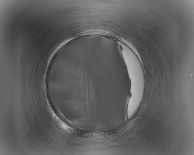 X0000082150995200702162204