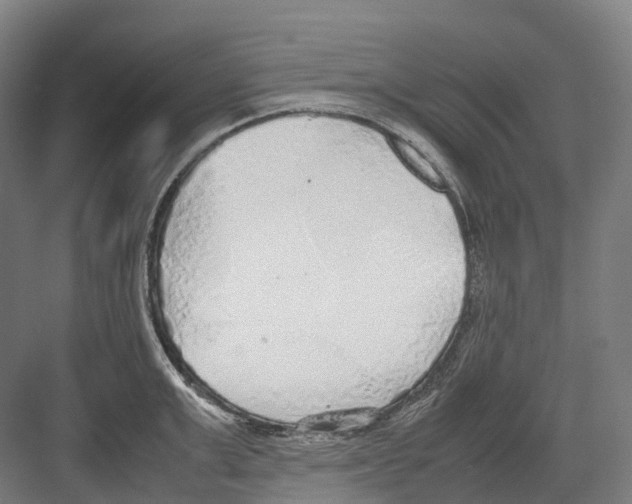 X0000082150999200702162204