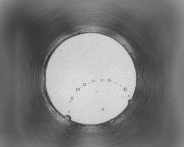 X0000082151000200702162204