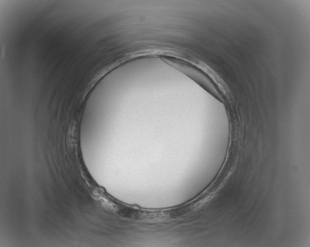 X0000082151001200702162204