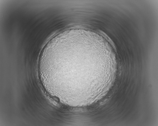 X0000082151002200702162204