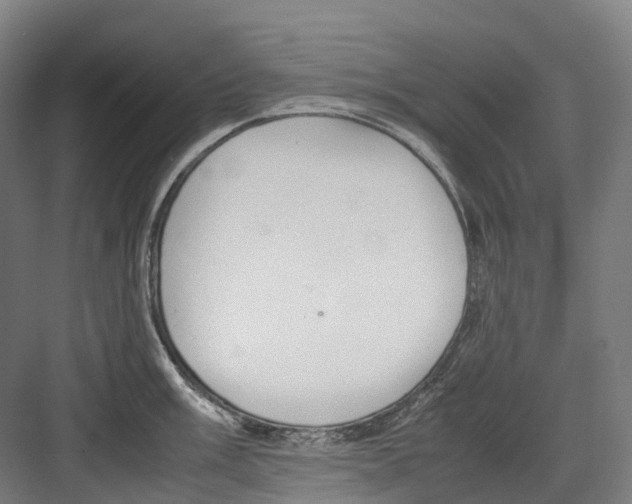 X0000082151003200702162204