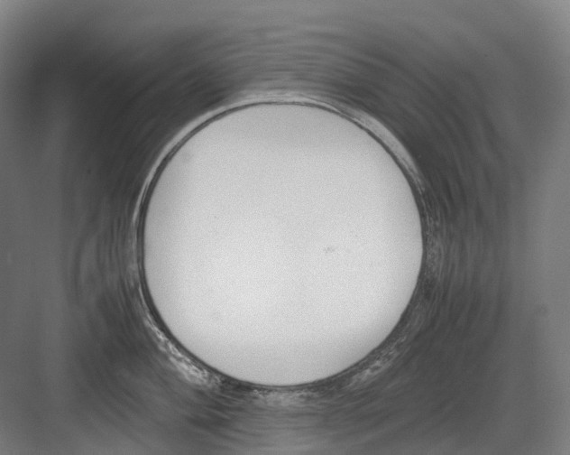 X0000082151004200702162204