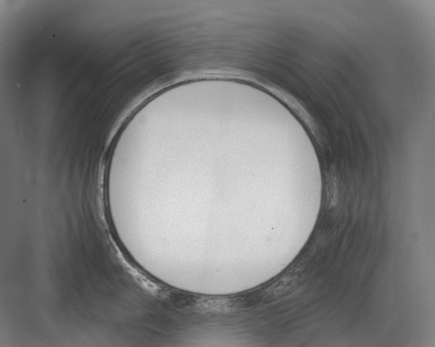 X0000082151006200702162204