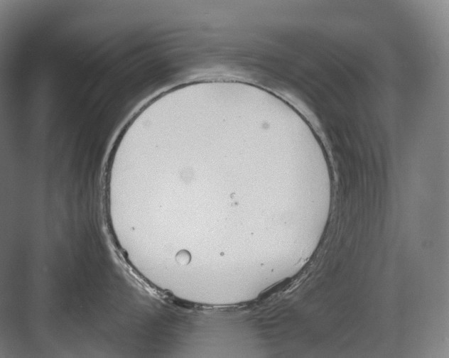 X0000082151008200702162204