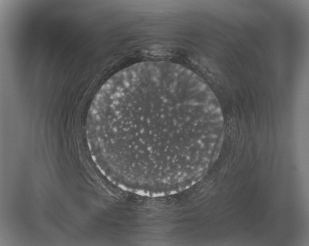 X0000082151009200702162203