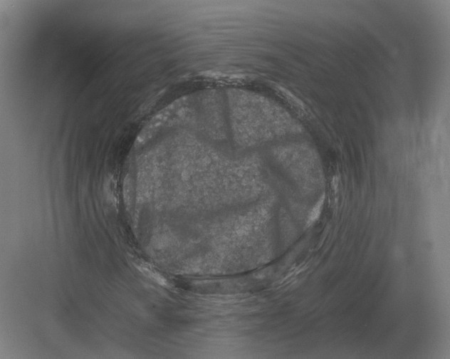 X0000082151010200702162203