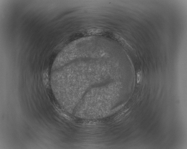 X0000082151011200702162203