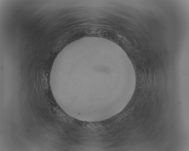 X0000082151013200702162203