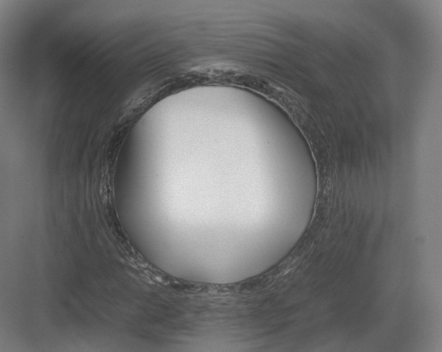 X0000082151014200702162203