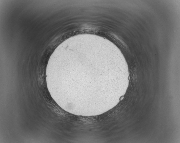 X0000082151015200702162203