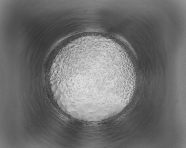 X0000082151019200702162203