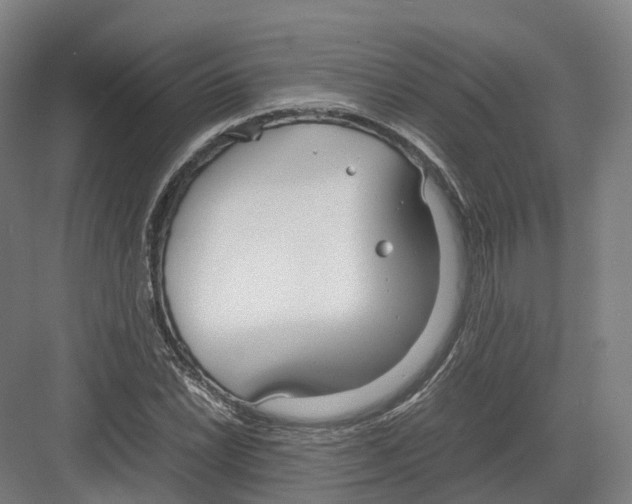 X0000082151022200702162203