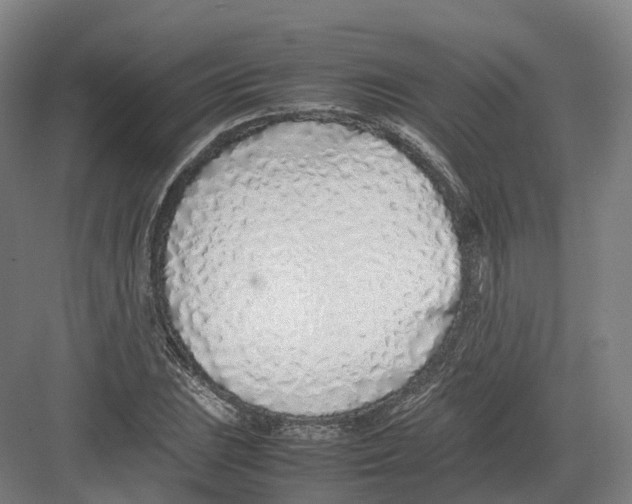 X0000082151023200702162203