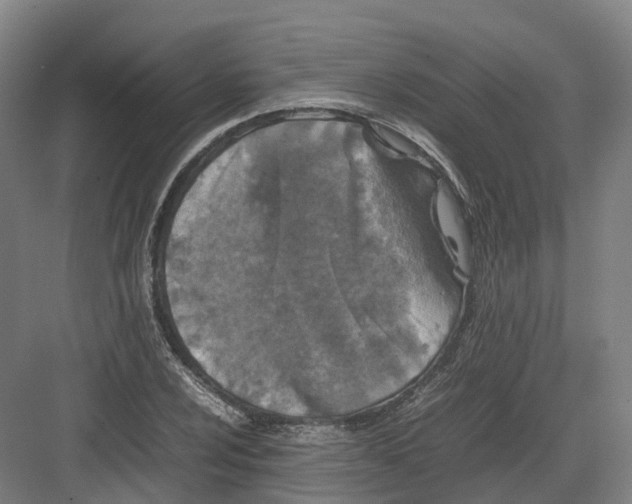 X0000082151024200702162203