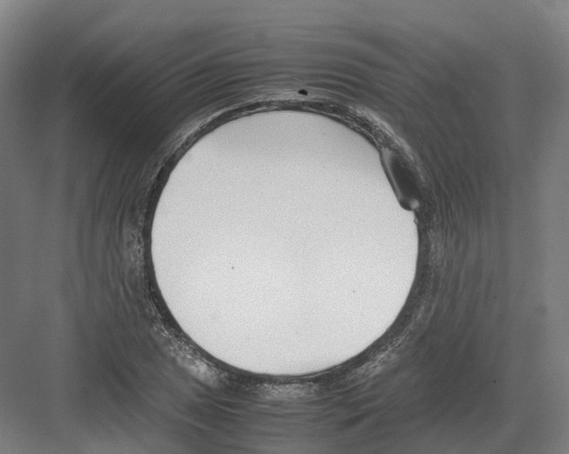 X0000082151025200702162203