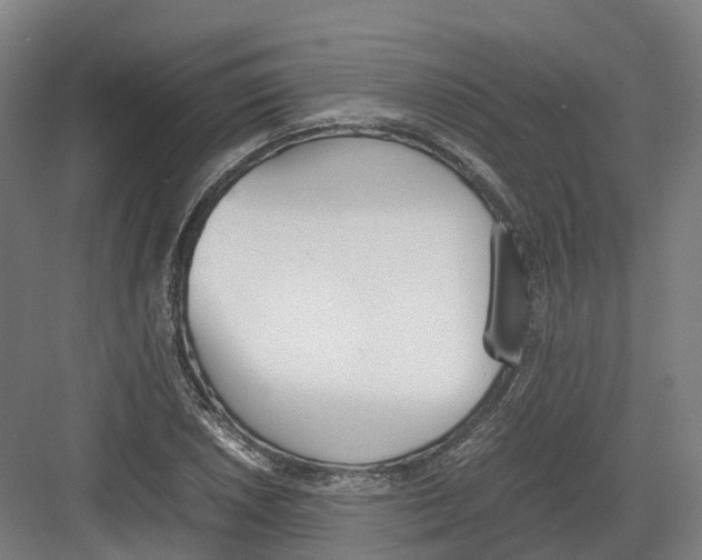 X0000082151026200702162203