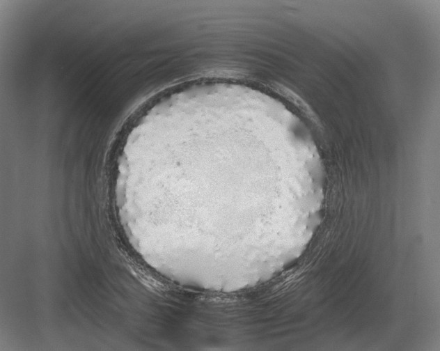 X0000082151027200702162203