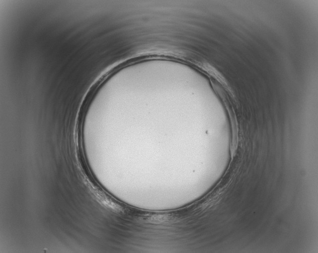 X0000082151028200702162203