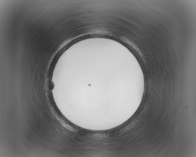 X0000082151029200702162203