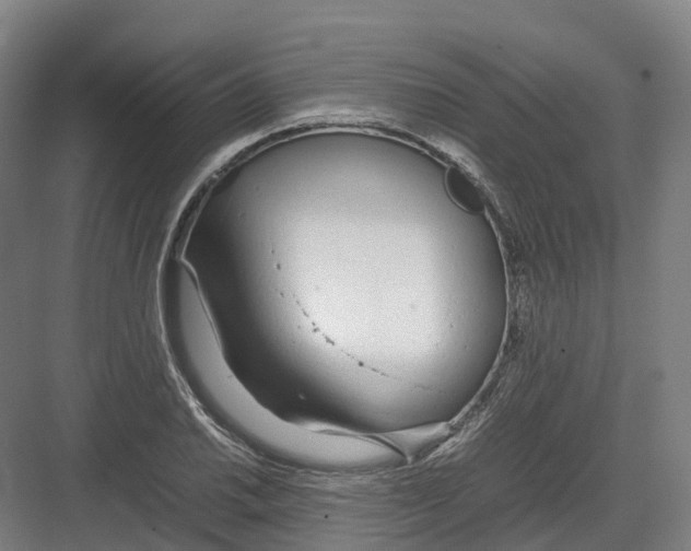 X0000082151030200702162203