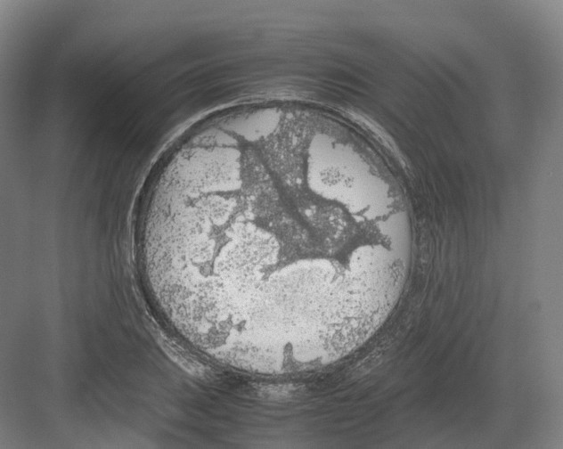 X0000082151031200702162203