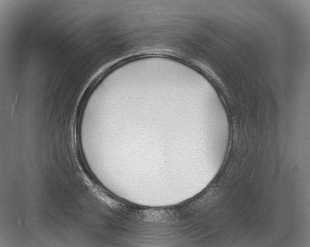 X0000082151032200702162203