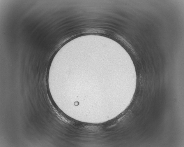 X0000082151033200702162203