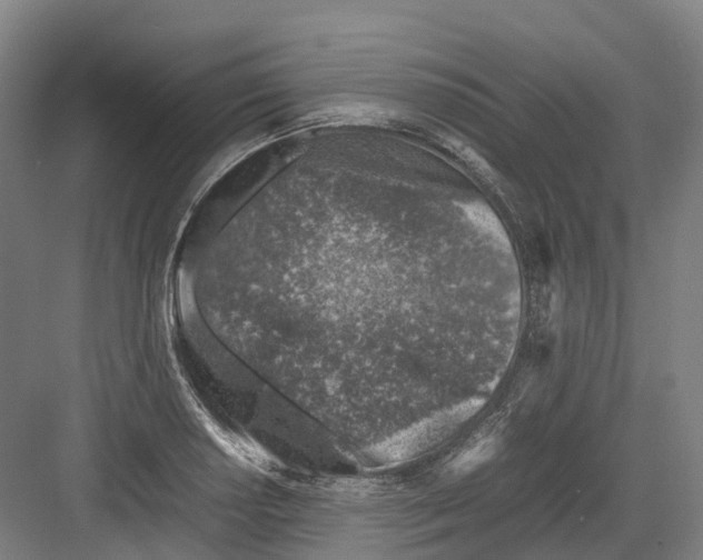 X0000082151034200702162203