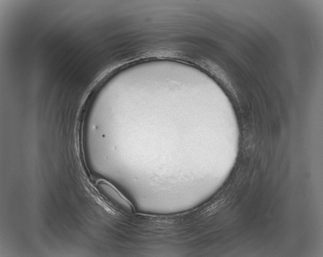 X0000082151035200702162203