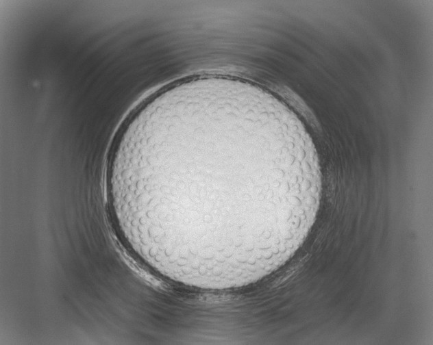 X0000082151036200702162203