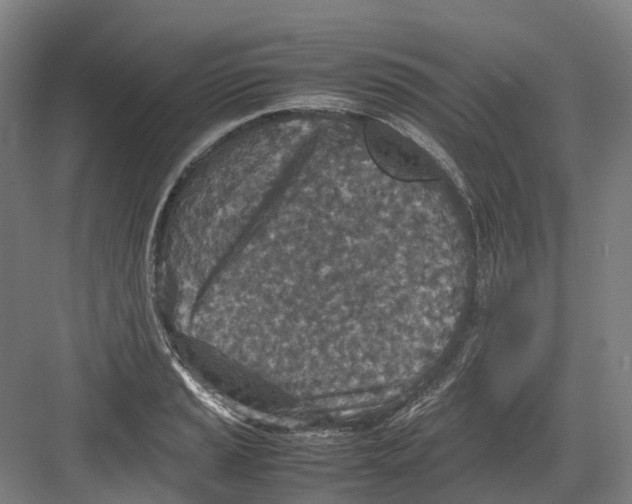 X0000082151037200702162203