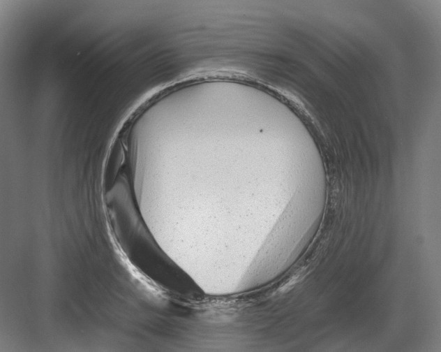 X0000082151038200702162203