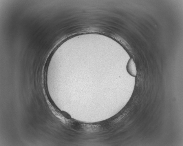 X0000082151039200702162203