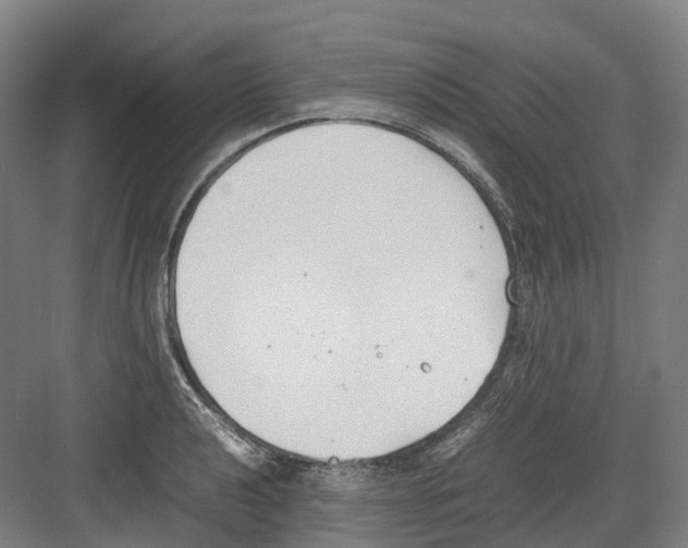 X0000082151040200702162203