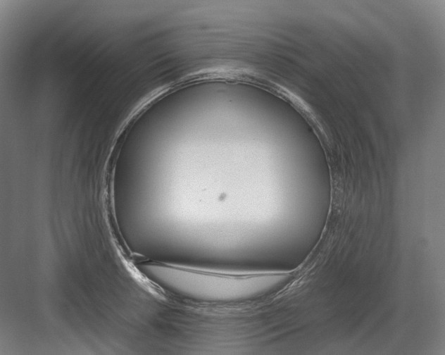 X0000082151042200702162203