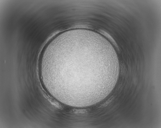 X0000082151043200702162203